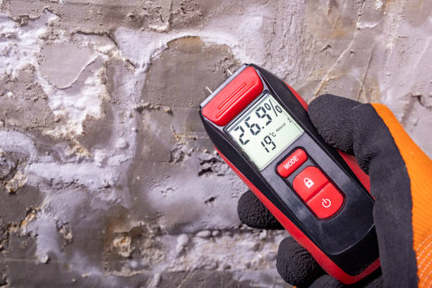 Best HVAC Mold Remediation in Sparta, IL