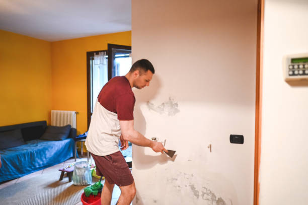 Sparta, IL Mold Remediation Company